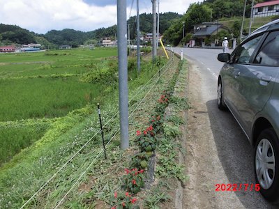 川曲自然保全会2