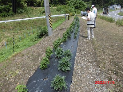 細田行政区2