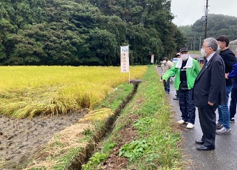 手越村プロジェクト稲刈り親子体験2