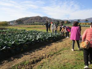 畑を見学する参加者