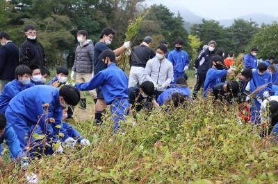 そばの収穫体験