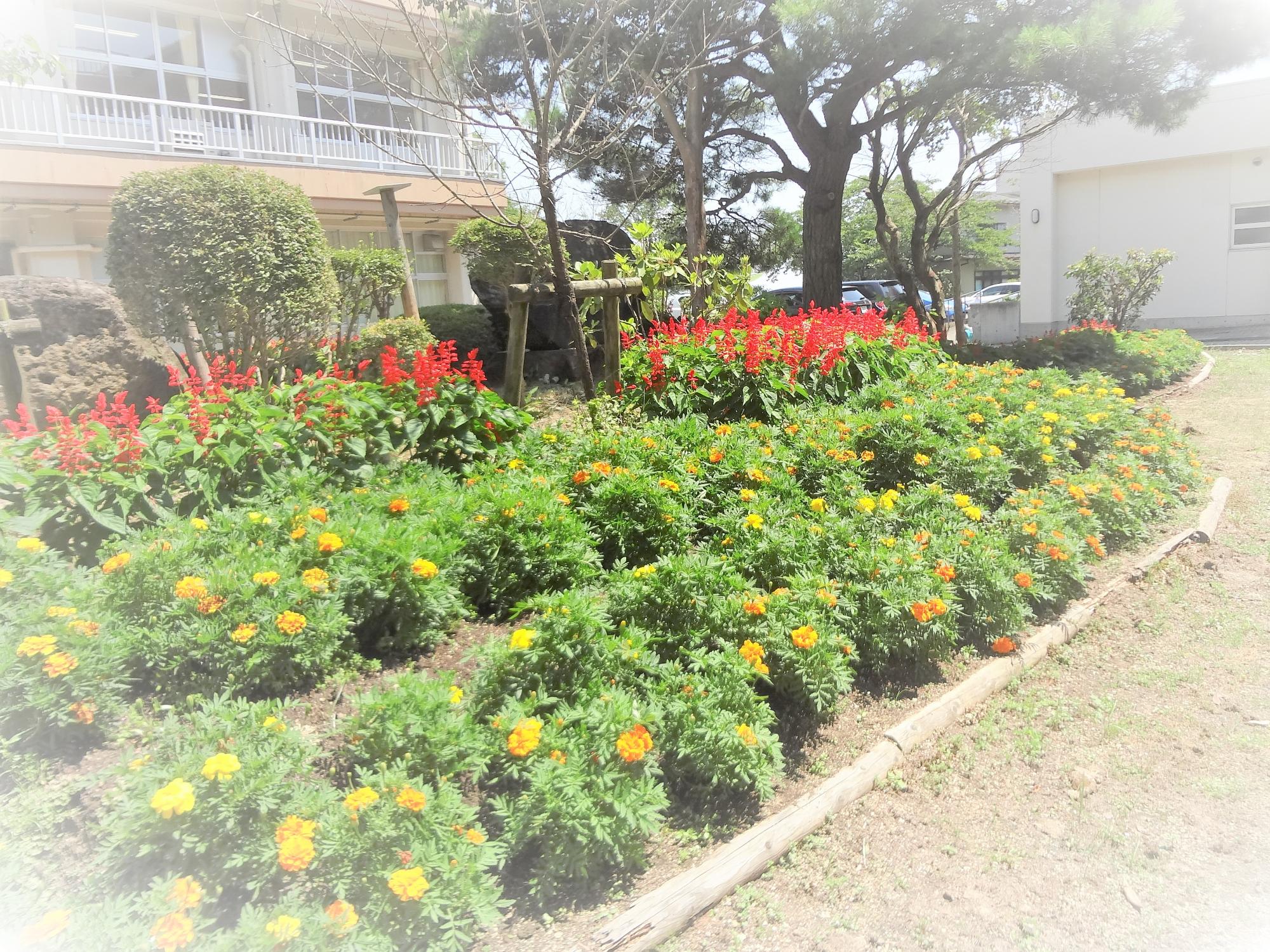花いっぱい運動、多田野小学校