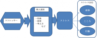 ストレス反応