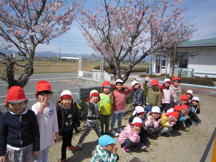 ぞう組のお花見の様子