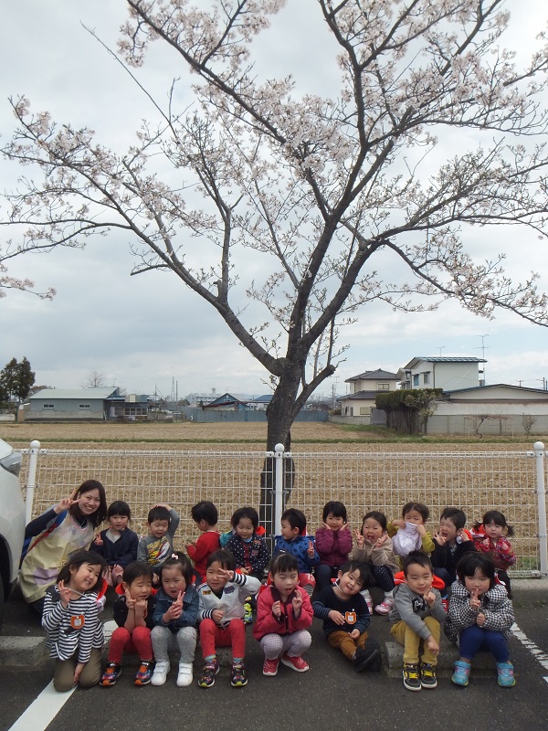 きりん組お花見の写真