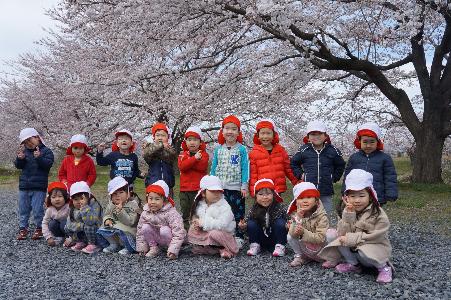 修了児が桜と写真を撮っている様子