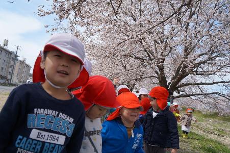 桜との写真