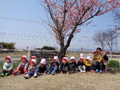 ぱんだ組さんが桜の木の前で写真を撮っている様子