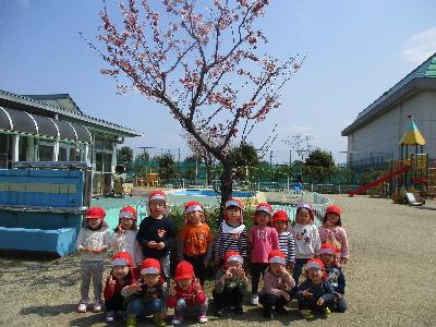 きりん組さんが保育所の桜の木の前で写真を撮っている様子