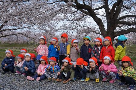 桜並木と写真を撮るキリン組