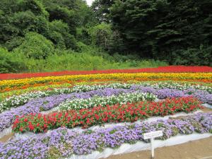 下枝第2集落花の郷