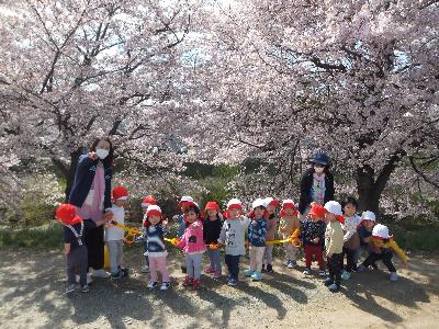 ぱんだ組お花見の様子