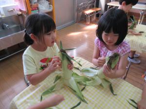 トウモロコシの皮をむいている女児2人