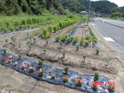 栃本花愛好会1