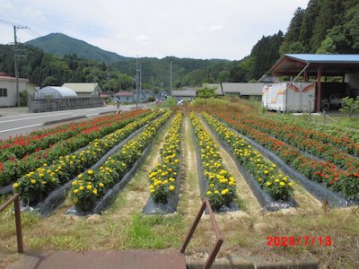 みやさきほこる会3