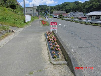 田母神松の木花の会3