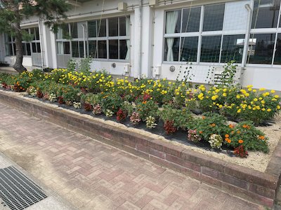 郡山市立守山小学校10