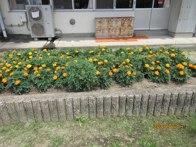 郡山市立御代田小学校2