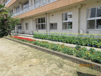 郡山市立高瀬小学校1