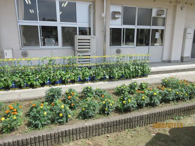 郡山市立高瀬小学校2