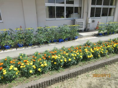 郡山市立高瀬小学校3