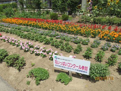 守山区町会2