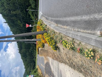 富永平内花を愛する会2