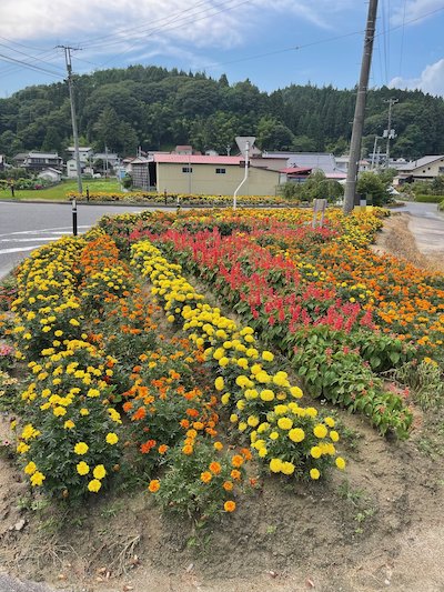 富永平内花を愛する会5