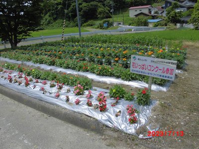 赤坂花愛好会1