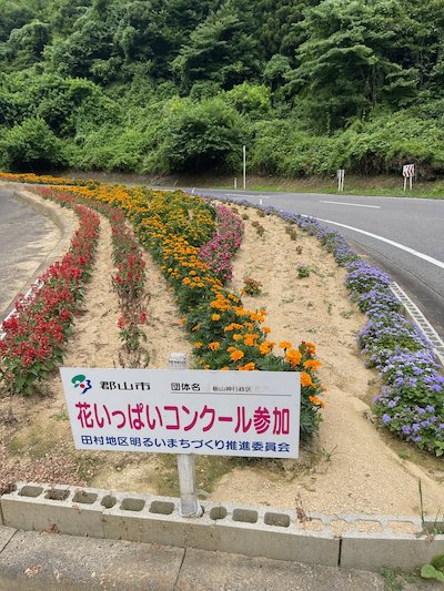 栃山神行政区5