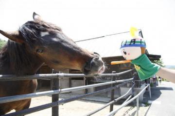 家畜動物園での餌やりの写真