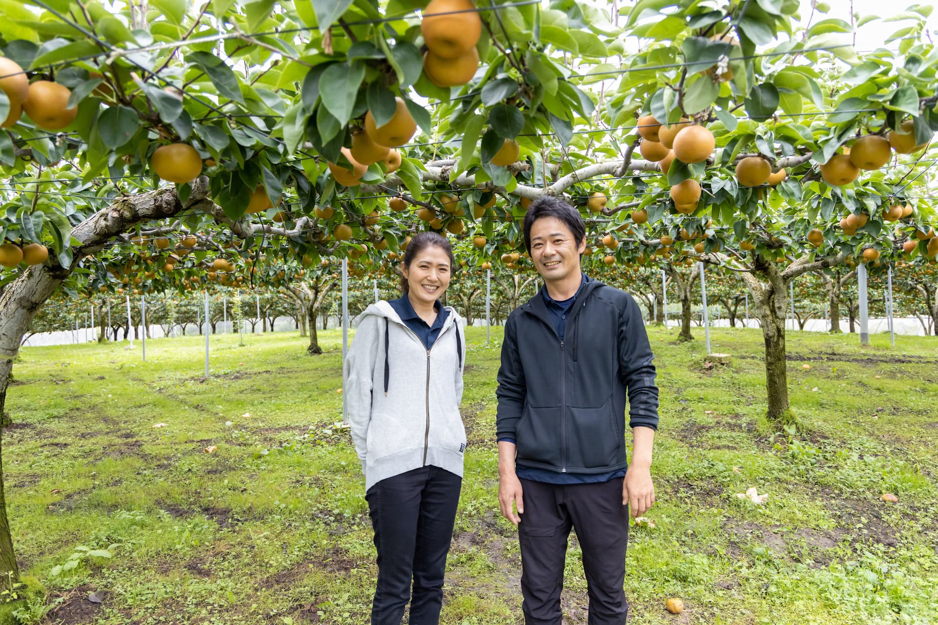 渡辺果樹園