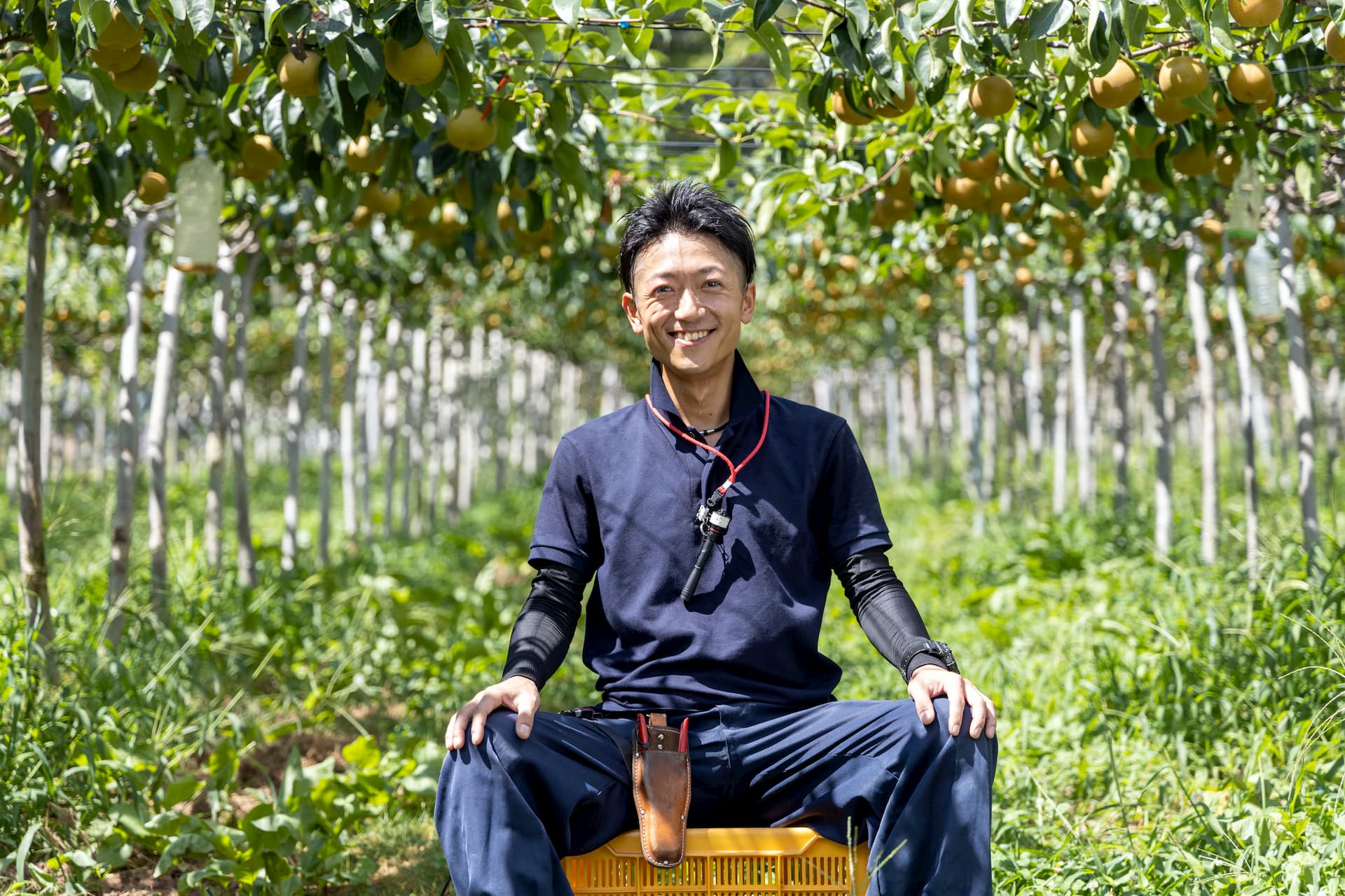 谷代果樹園谷代克明さん