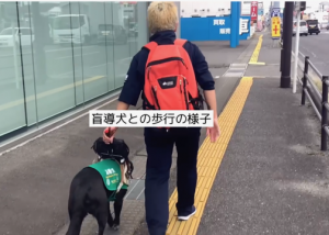 盲導犬ユーザーが盲導犬と歩く後ろ姿