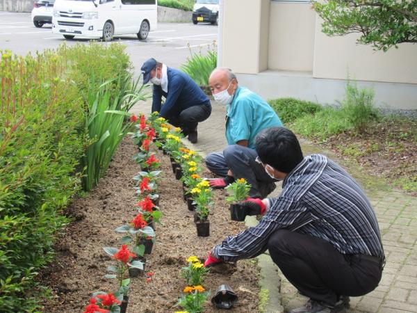 花植え作業