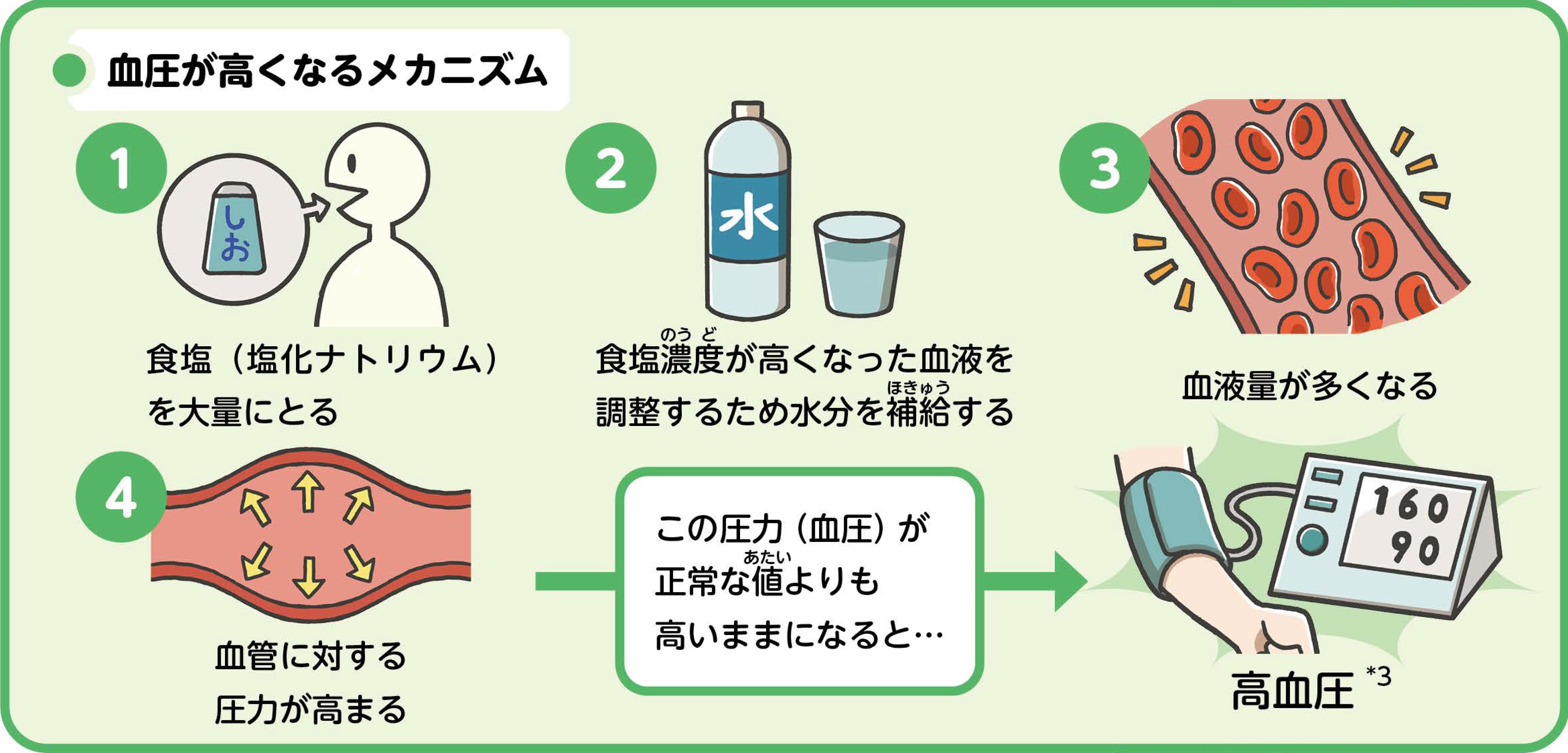 血圧が高くなるメカニズム