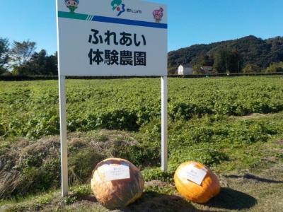 ふれあい体験農園看板