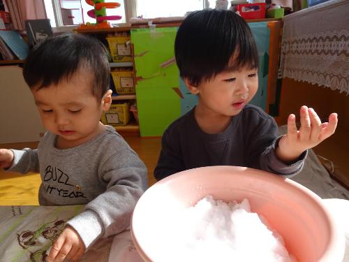 雪に触れて楽しそうな子どもたち