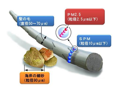 PM2.5の大きさを表した画像