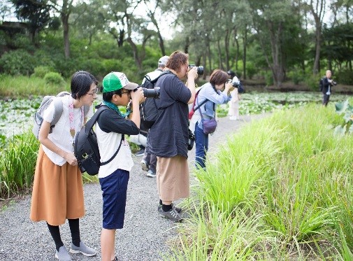 緑水苑で撮影