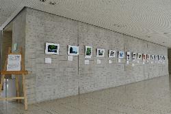 美術館写真展