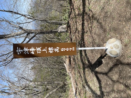 宇津峰親善登山