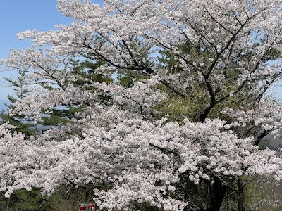 宇津峰親善登山