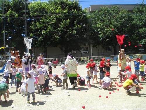 すみれ組・ひまわり組の子が紅白に分かれて玉入れをする