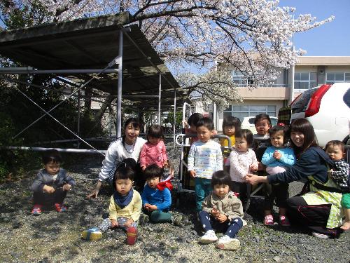 たんぽぽ組が桜の前で写真を撮りました