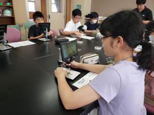 虫を顕微鏡で見る