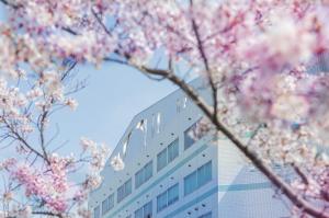 桜の花と郡山女子大学の校舎