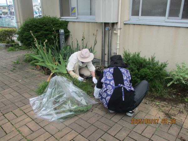 クリーンの日