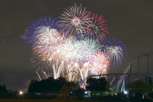 あさか野夏まつり花火大会