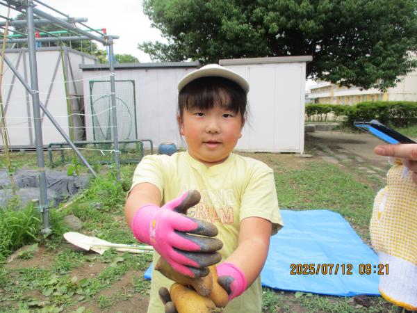 じゃがいも３